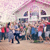 confetti cannon celebration pink